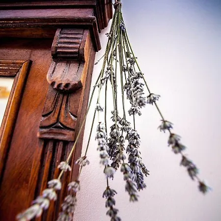 Arboretum ميلنا